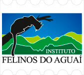 Felinos do Aguaí